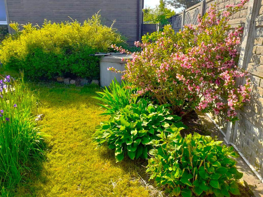 Купить  дом